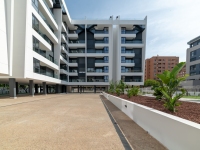 DSC3170