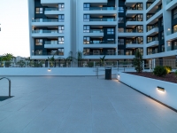 DSC3590